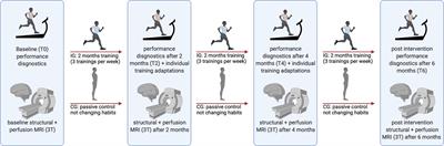 Regional cortical perfusion increases induced by a 6-month endurance training in young sedentary adults